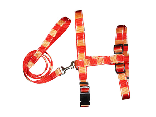 Ｈ型拉胸背带