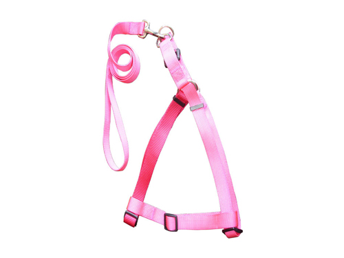 厚街网布胸背带批发