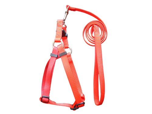 厚街网布胸背带生产