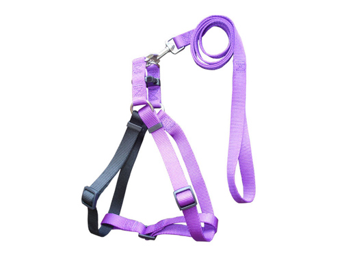 厚街网布胸背带供应