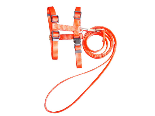 厚街网布胸背带供应商