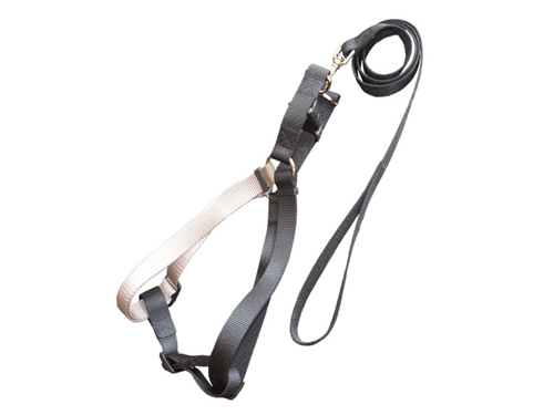 厚街网布胸背带销售