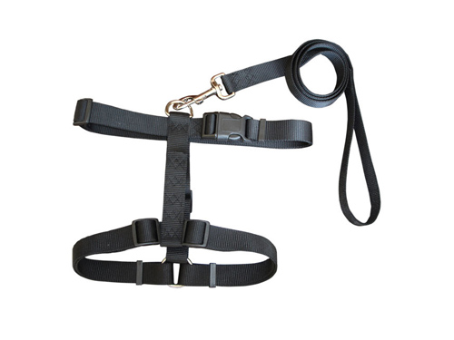 厚街网布胸背带直销