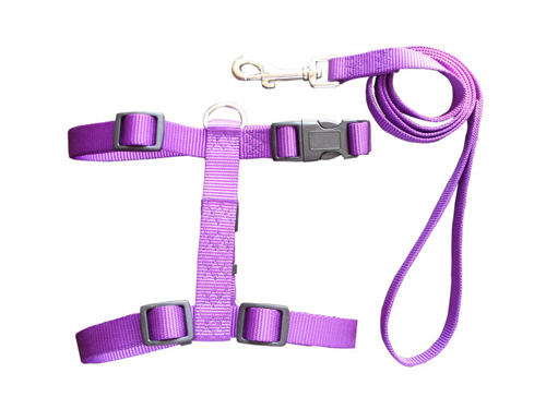 网布胸背带宠物用品供应商