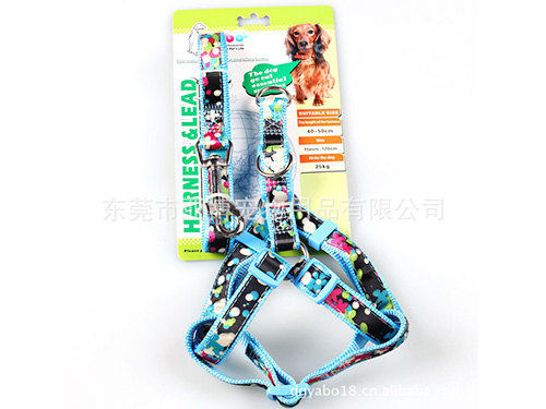 宠物拉胸背带（套装）