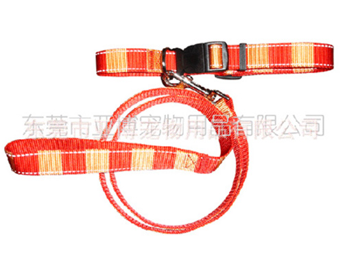 各式各样的胸背带和牵引带