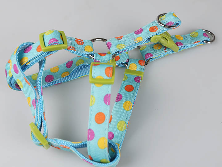 东莞宠物胸背带
