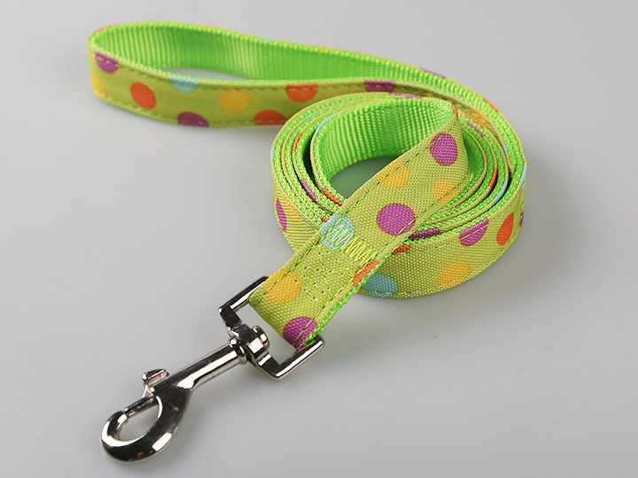 宠物牵引带 绿色  泡泡圆点