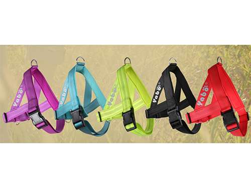 双牵引胸背带