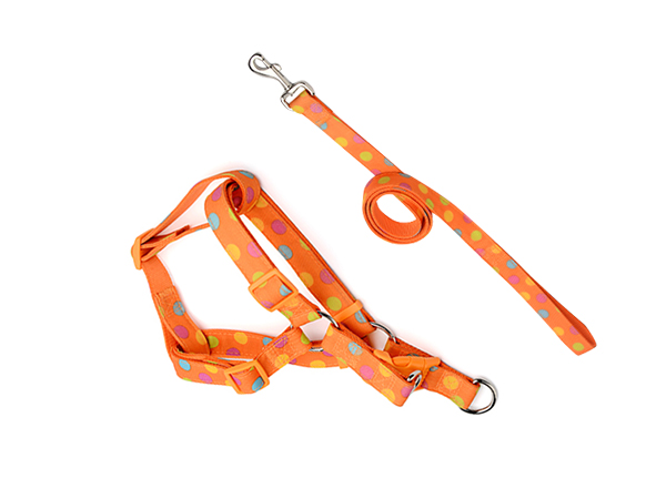 拉绳胸背带套装 布艺橘色