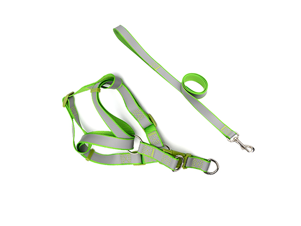 高亮反光拉绳/胸背套装