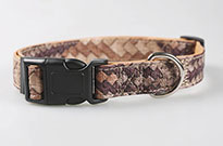 亚博宠物用品之狗狗必需的五大营养物质