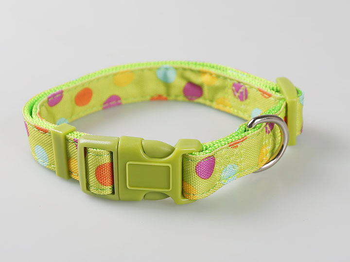 宠物颈圈 绿色圆点