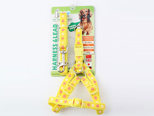 亚博 尼龙缎带胸背带配拉带  黄色