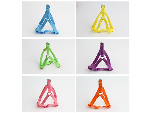 亚博 五彩尼龙快栓胸背带