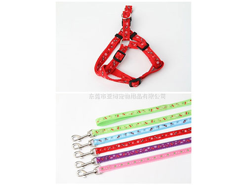 亚博 时尚缎带拉带+胸背带