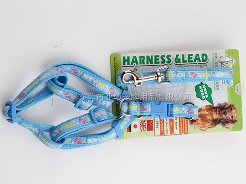 亚博 尼龙缎带颈圈配拉带