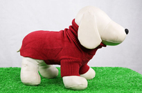 天冷了，别让狗狗着凉