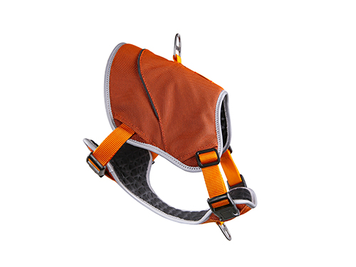 宠物胸背带 橘色