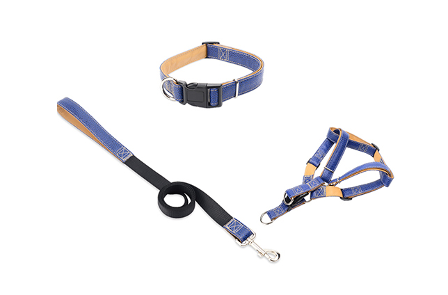 宠物用品设计是正在崛起的产业