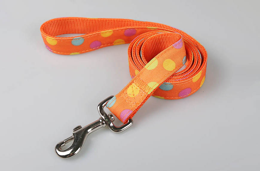 你知道狗狗宠物用品到底有哪些分类吗