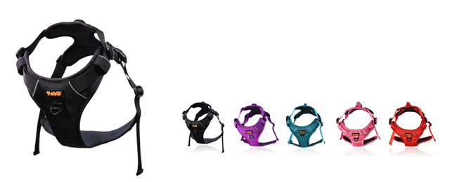 防爆冲宠物胸背
