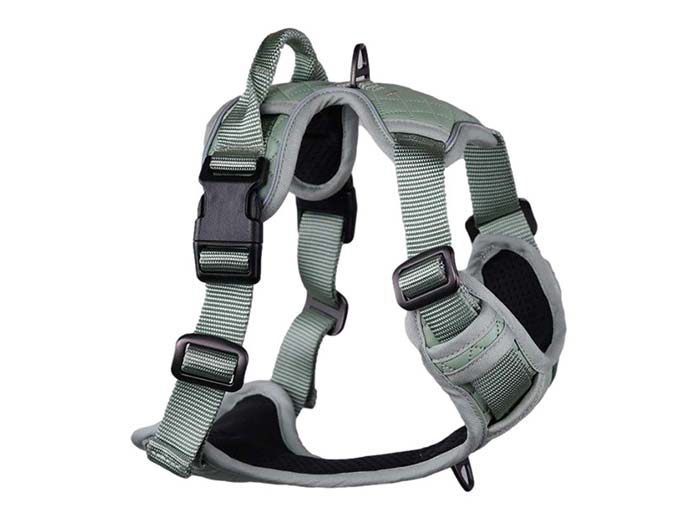 防爆冲宠物牵引绳