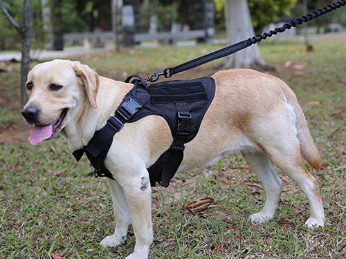 胸背带的使用方法和注意事项