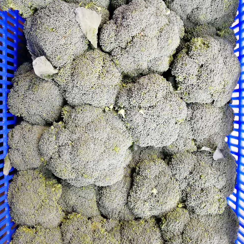 长安蔬菜批发的相关资料说明