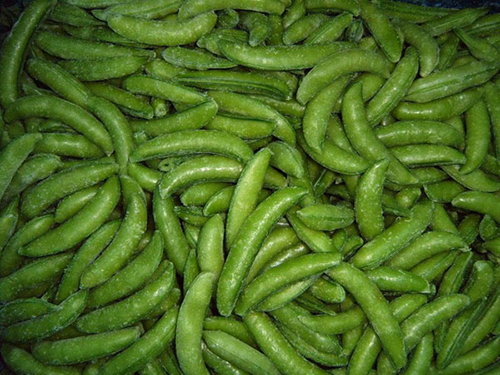 豆荚