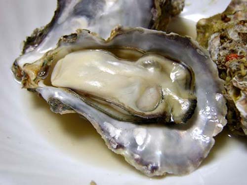 生蚝