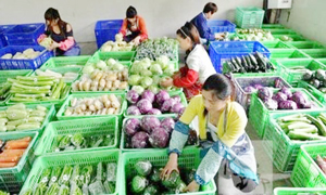 东莞工厂饭堂承包对企业和员工的好处