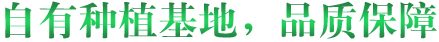 自有种植基地，品质保障