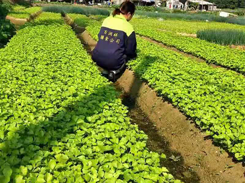 种植基地
