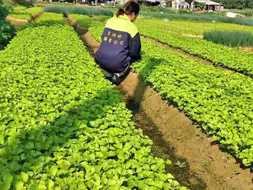 种植基地