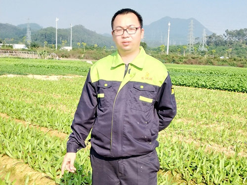 种植场