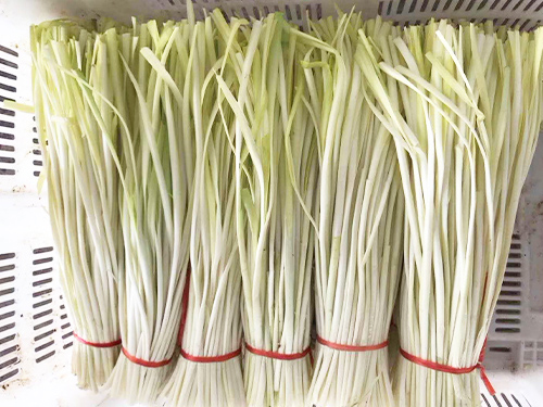 东莞蔬菜配送批发