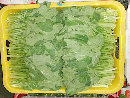 蔬菜配送
