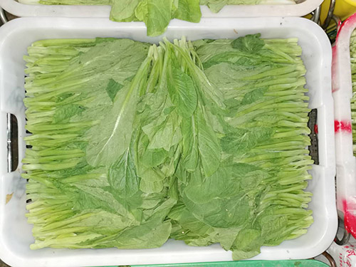 菜
