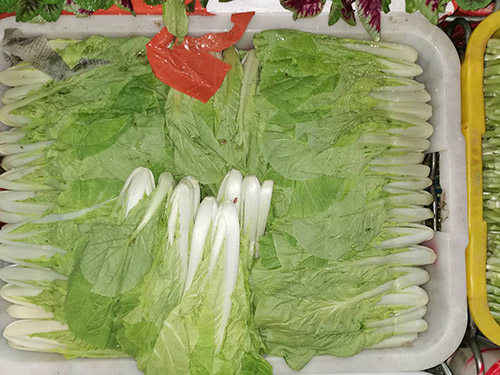 白菜