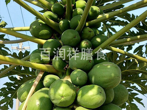蔬菜配送中心木瓜主要价值有哪些？
