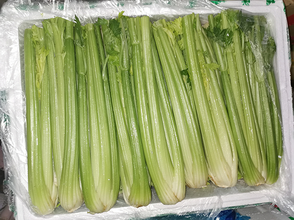 芹菜