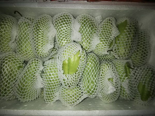 沙井蔬菜配送佛手瓜有什么药用价值？