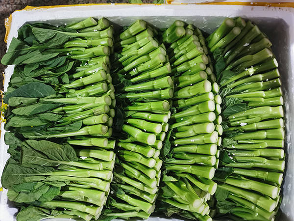 东莞蔬菜配送一定要注意这些问题