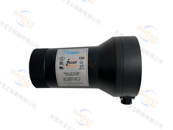 COEN DSF-2010-MB火焰检测器2653-271-62
