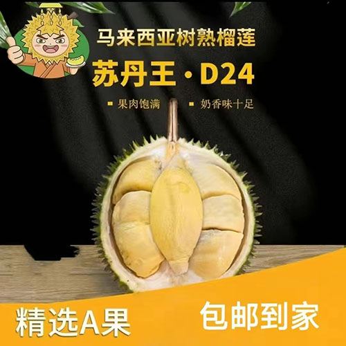 苏丹王D24