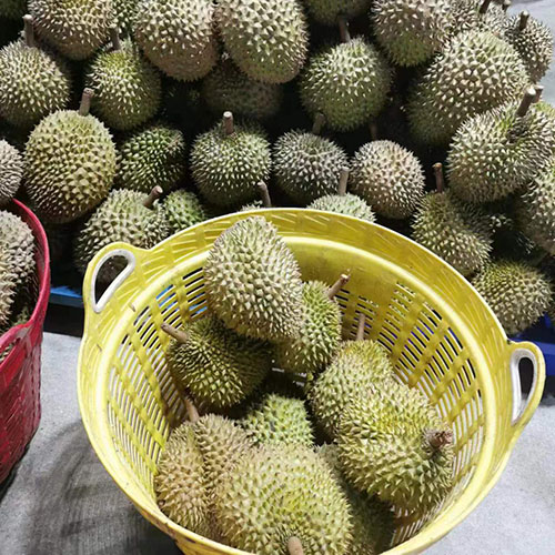 榴莲