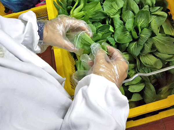 食品接触材料测试