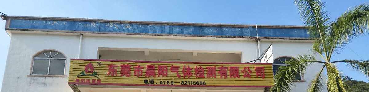 东莞市晨阳气体检测有限公司