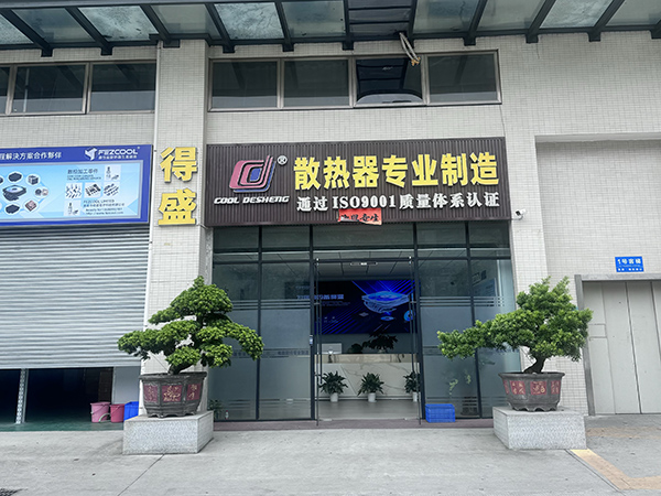 东莞市得盛电子科技有限公司
